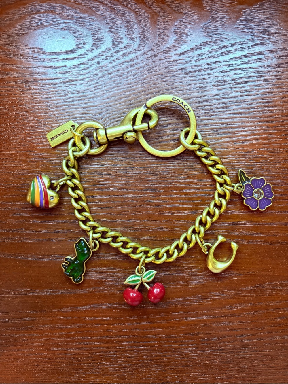COACH Motif Chain Bag Charm